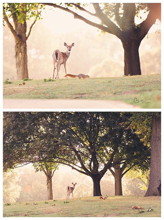 Andy + Shalyn // Plum Hollow Golf Course Wedding 