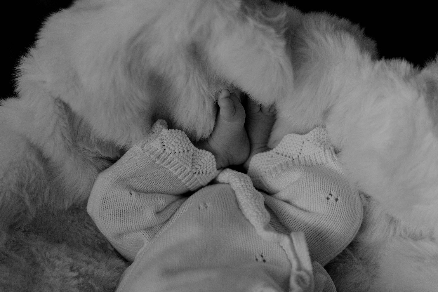 Maternity + Lifestyle newborn 