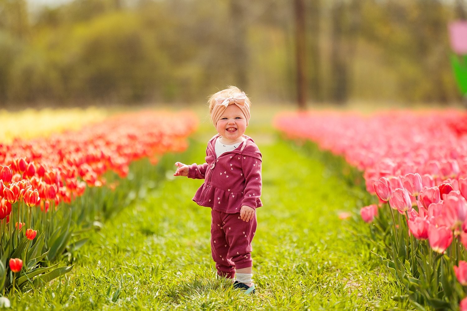 Lainey_Tulips-1.jpg